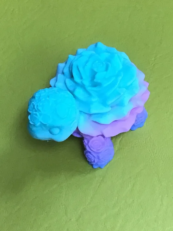 Rose Shell Turtle